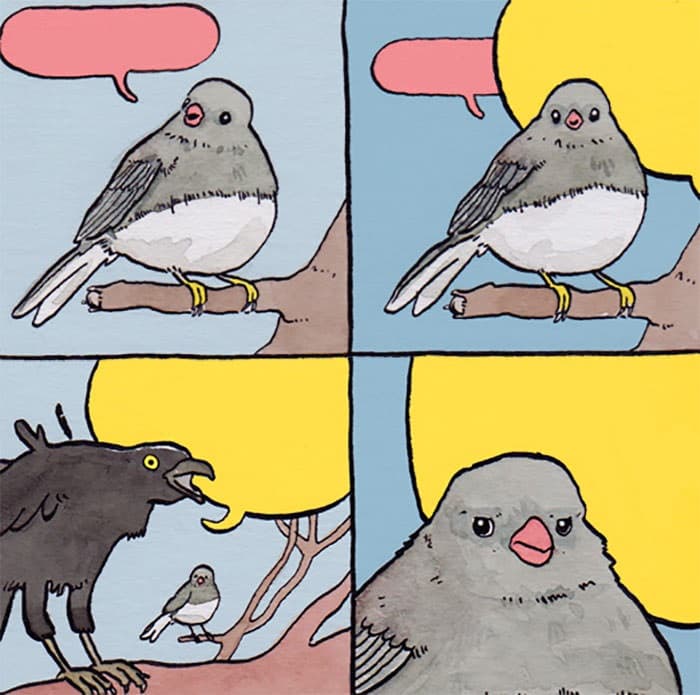 Interrupting bird meme template - Interrupting Bird