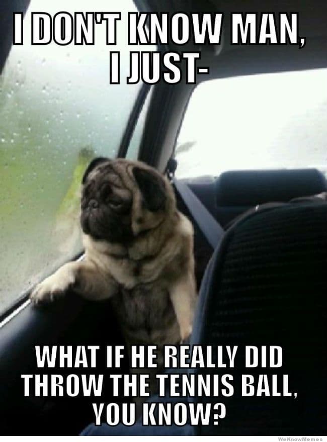 Introspective Pug meme template - Introspective Pug Maker