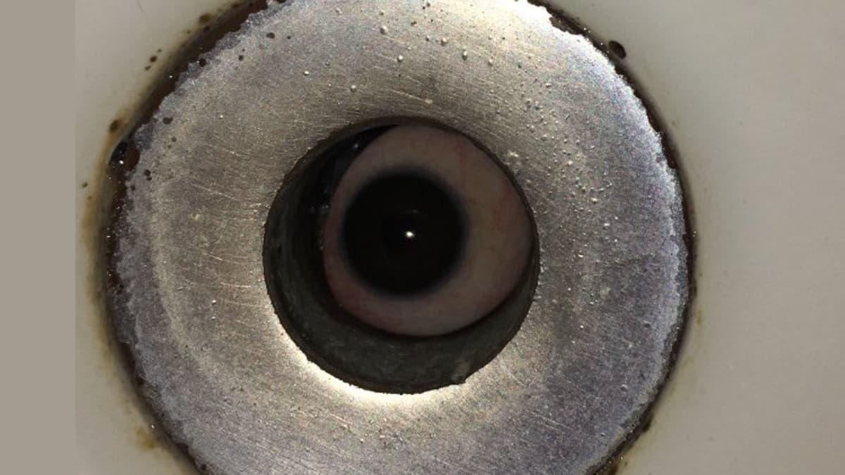 It Lives In My Sink meme template - It Lives In My Sink