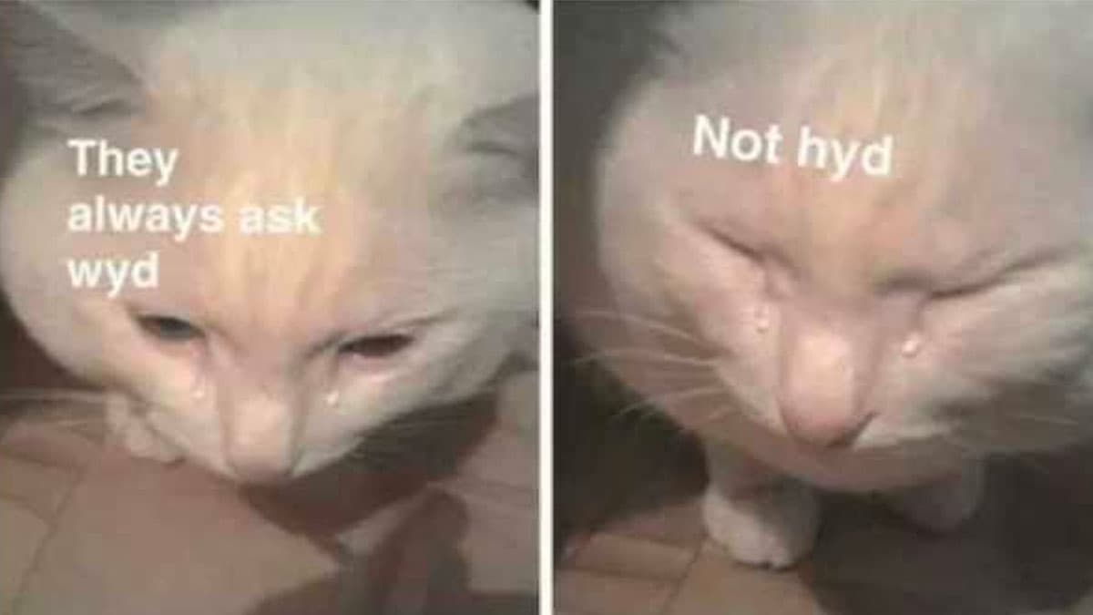 It's Always WYD and Never HYD meme template - Its Always WYD and Never HYD