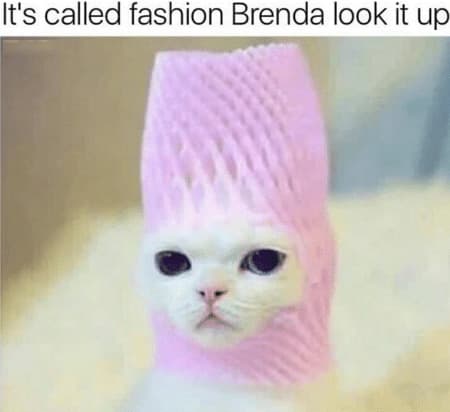 "It's Called Fashion Look It Up" meme template - It's Called Fashion Look It Up