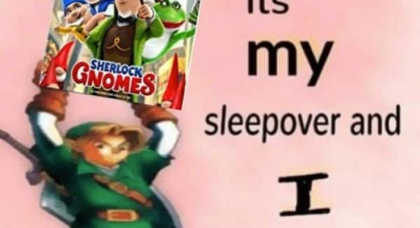 It's My Sleepover and I Get to Choose the Movie meme template - It's My Sleepover