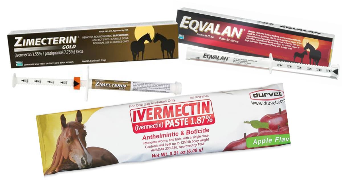 Ivermectin COVID-19 Treatment Controversy meme template - Ivermectin