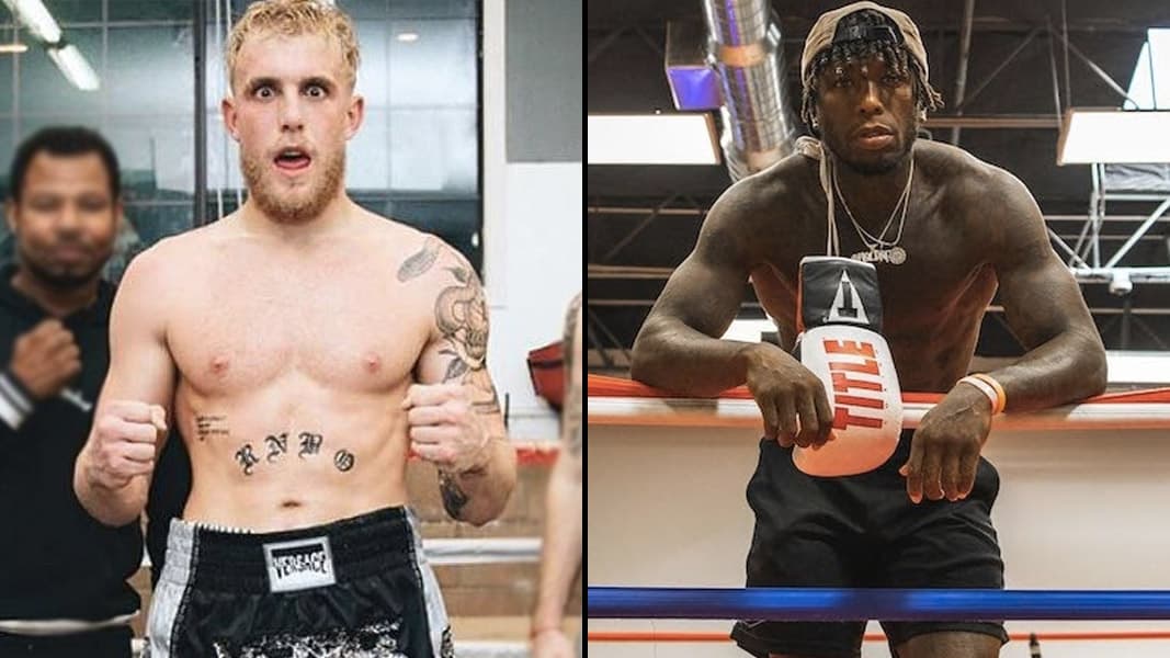 Jake Paul vs. Nate Robinson Fight meme template - Jake Paul vs Nate Robinson
