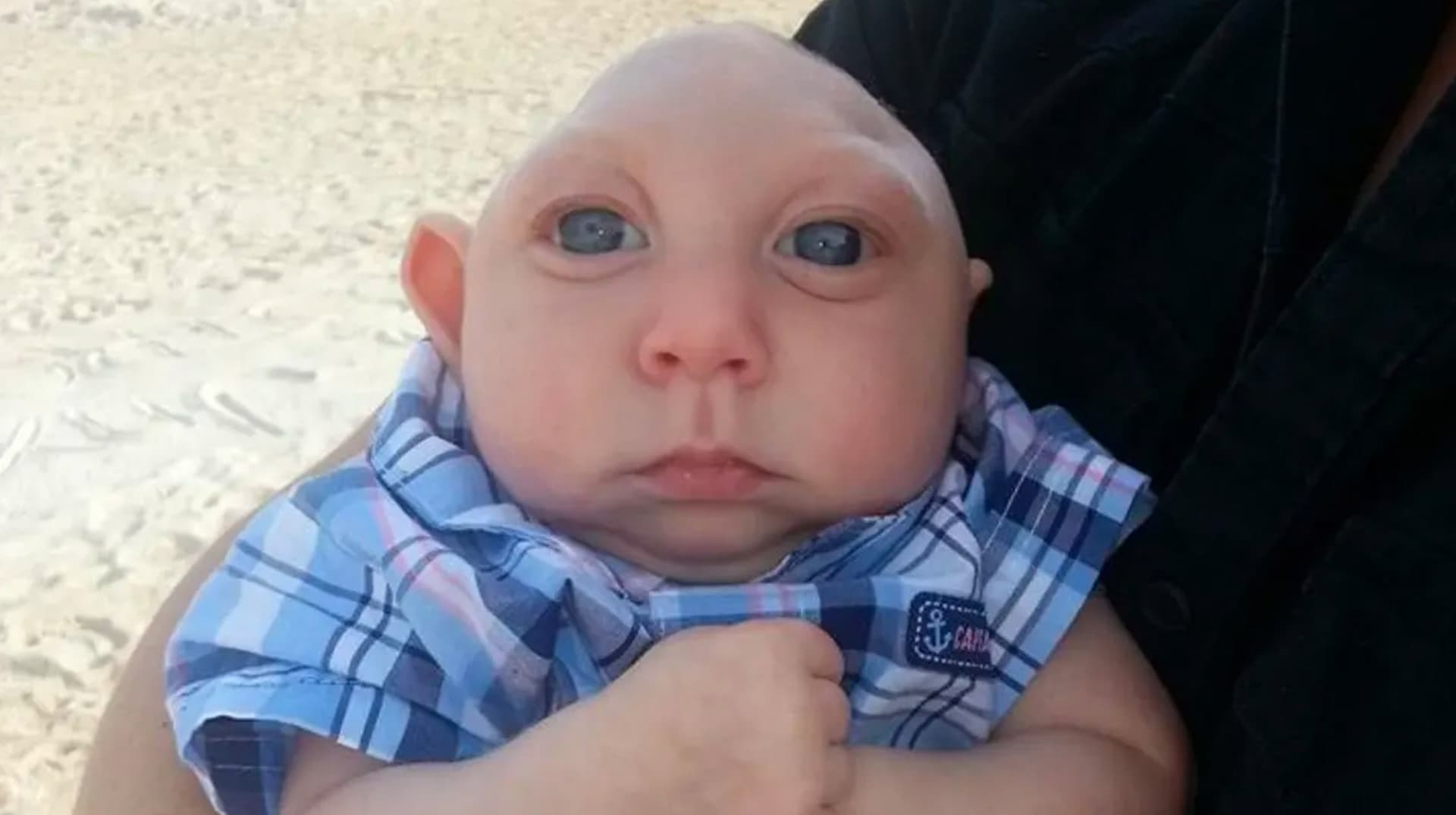 Jank Boteko meme template - Jank Boteko