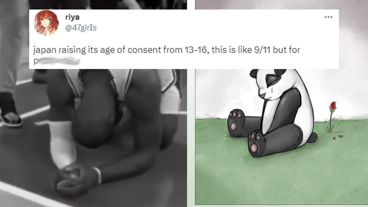 Japan Age Of Consent Increase meme template - Japan Age of Consent