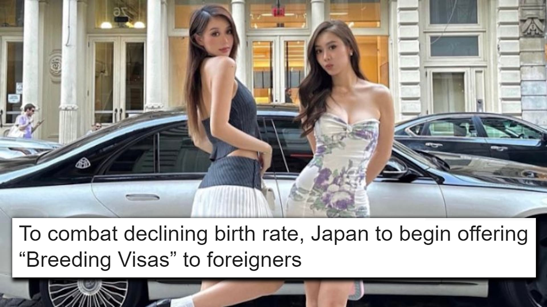 Japanese "Breeding Visas" Hoax meme template - Japanese Breeding Visa