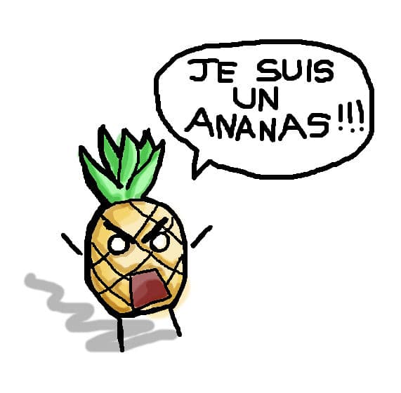 Je Suis Un Ananas meme template - Je Suis Un Ananas