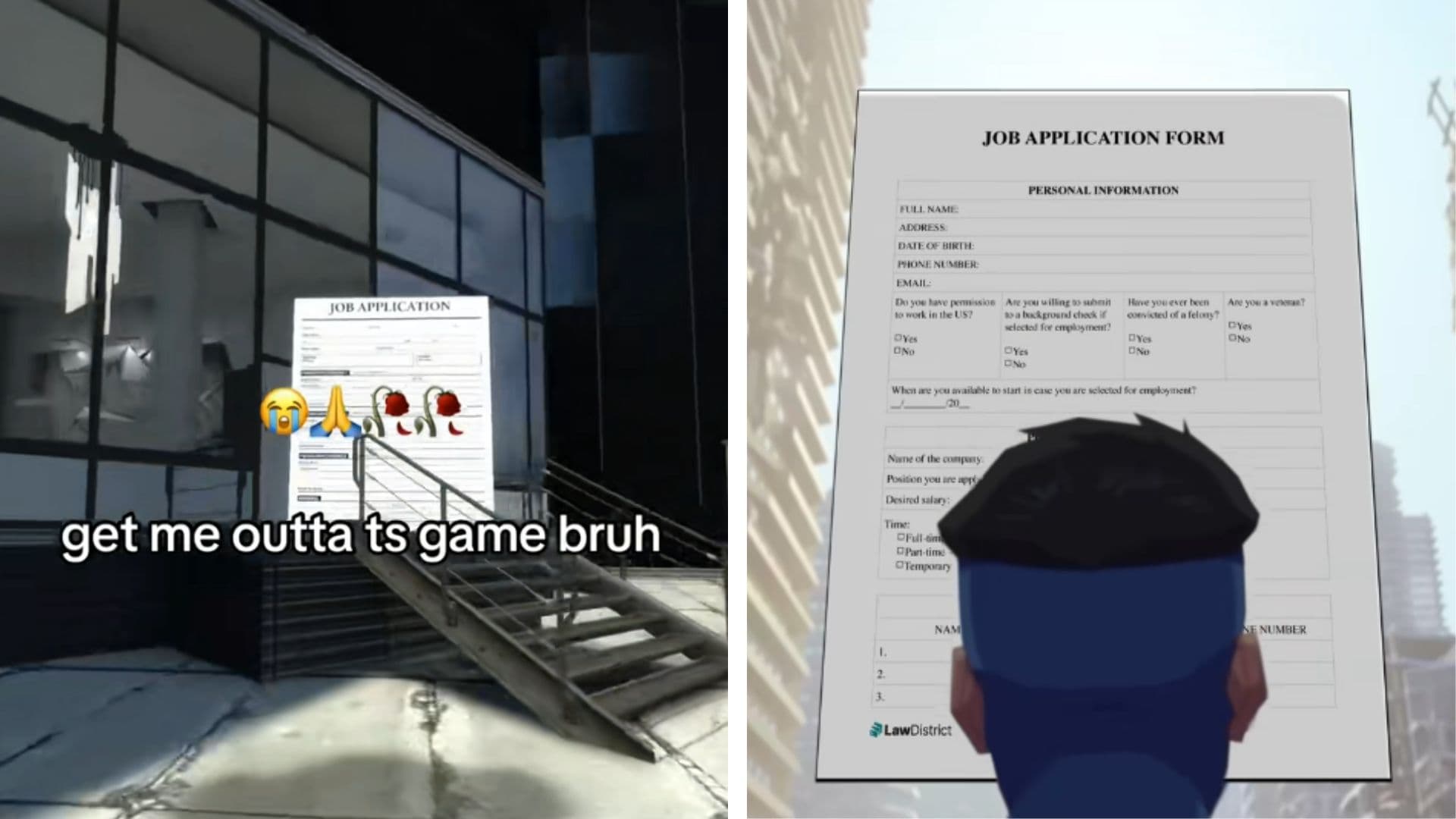 Job Application Form meme template - Job Application Form