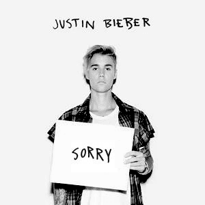 Justin Bieber's "Sorry" meme template - Justin Bieber Sorry