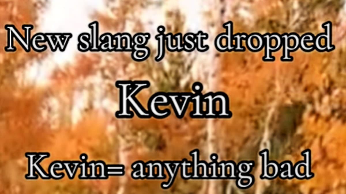 Kevin / TS So Kevin (Slang) meme template - TS So Kevin