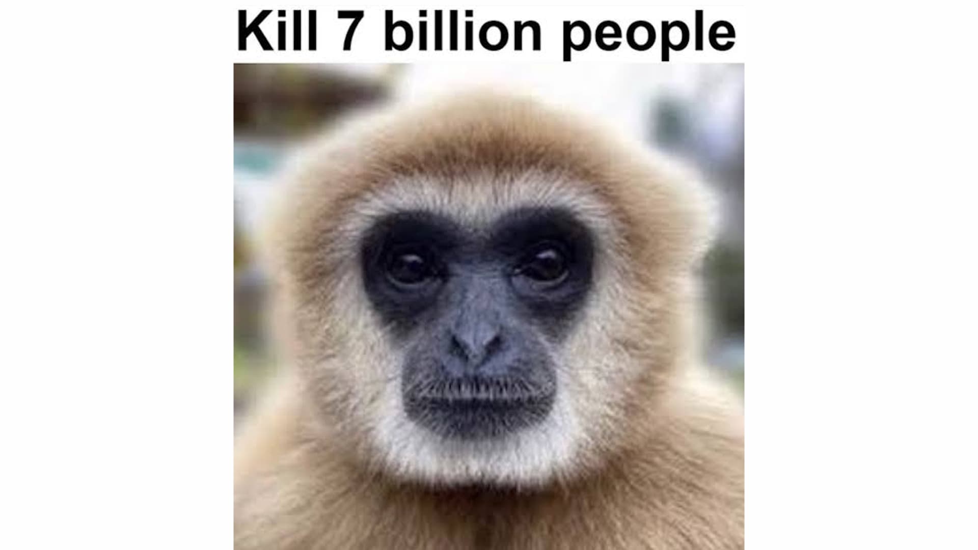 Kill 7 Billion People Monkey meme template - Kill 7 Billion People Monkey