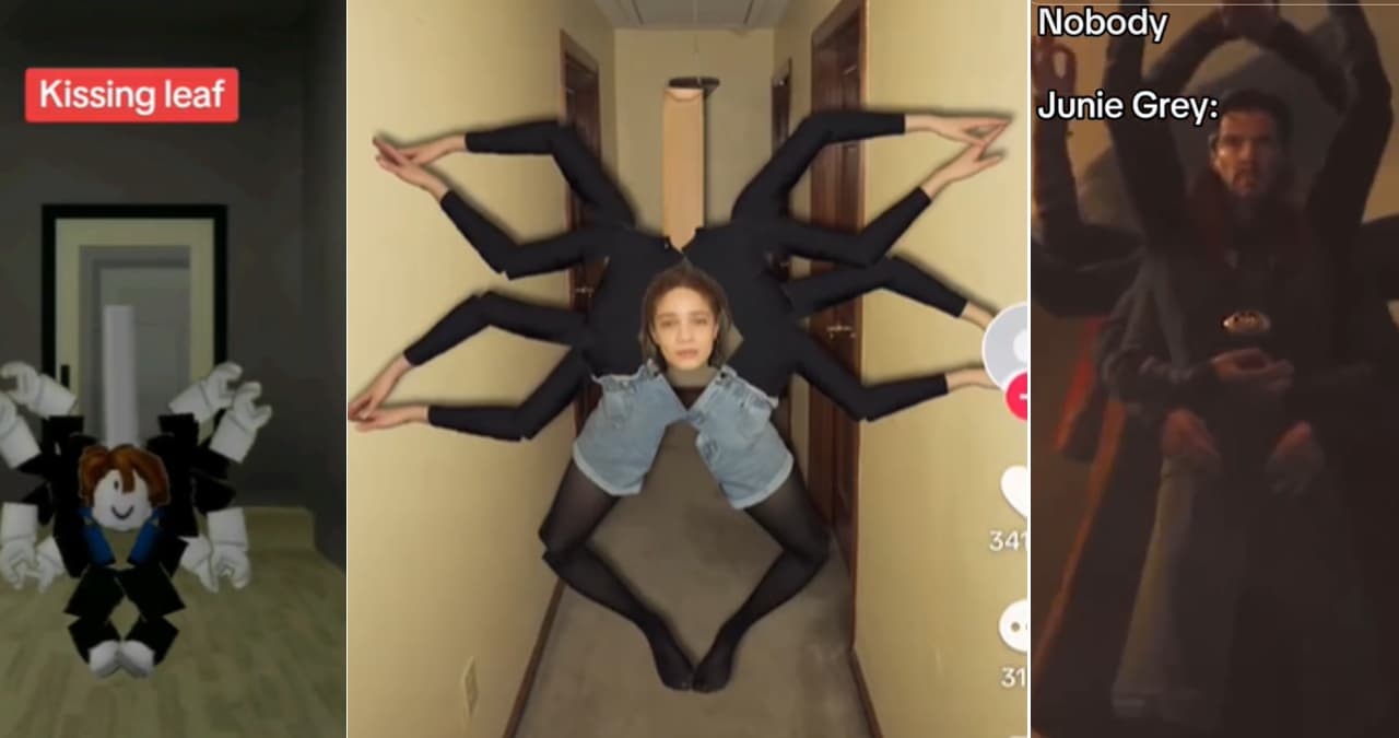 Kissing Leaf meme template - Kissing Leaf