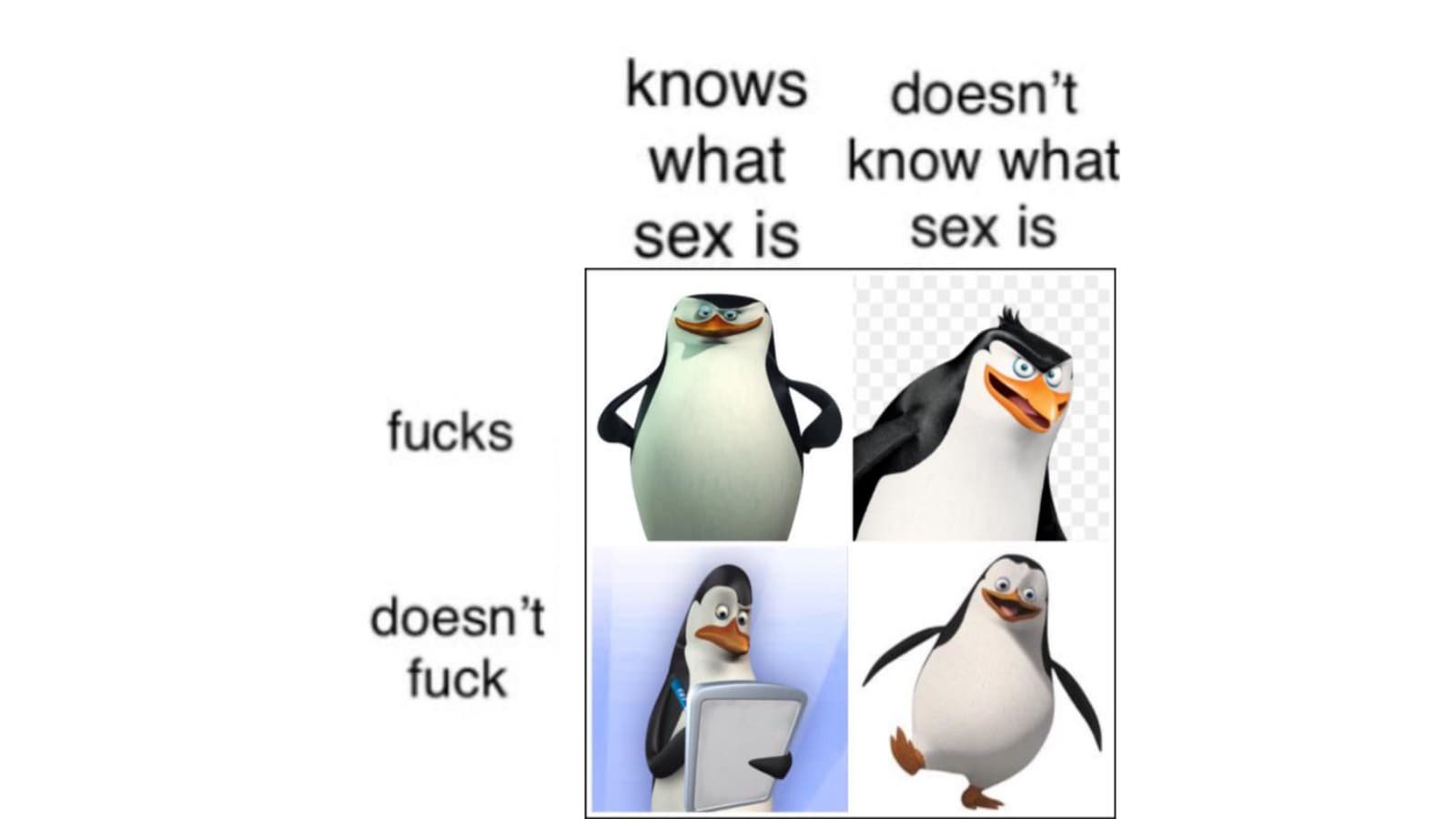 "Knows What Sex Is" Grid meme template - Knows What Sex Is Grid