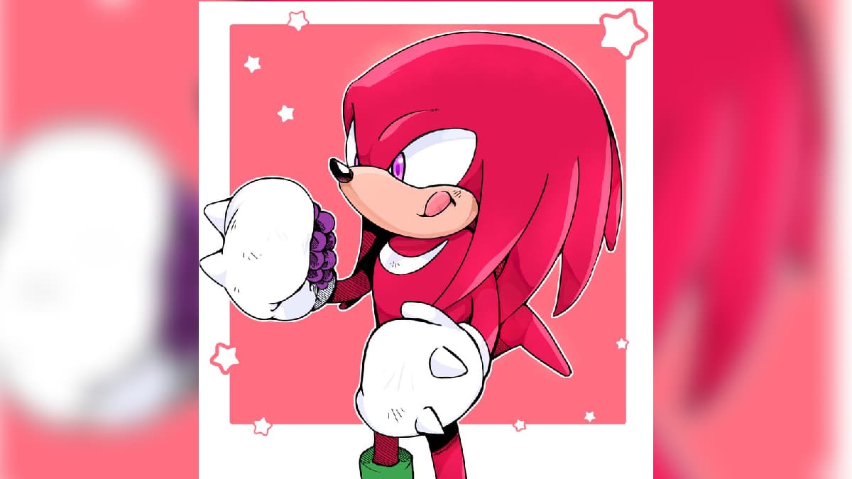 Knuckles Likes Grapes meme template - Knuckles Likes Grapes
