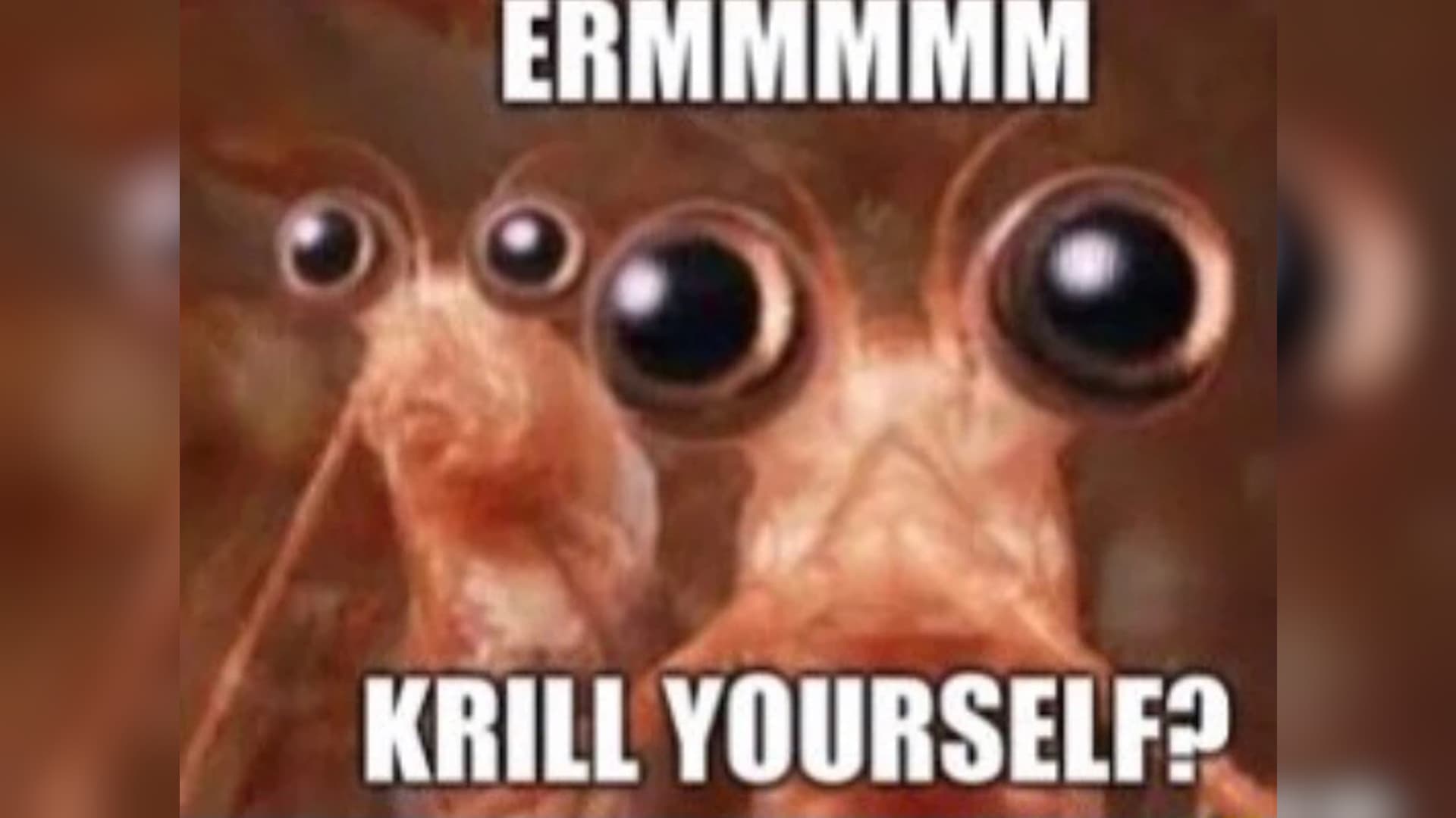 Krill Yourself / Krilla / Krill Puns meme template - Krill Yourself