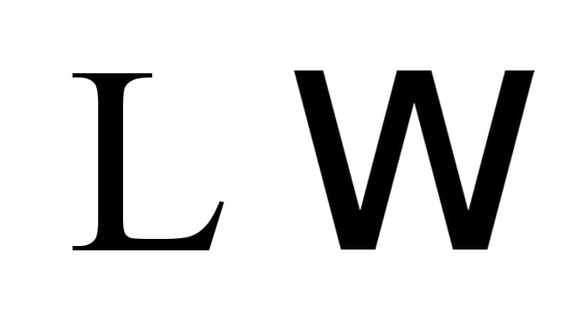 L and W (Slang) meme template - L and W Slang