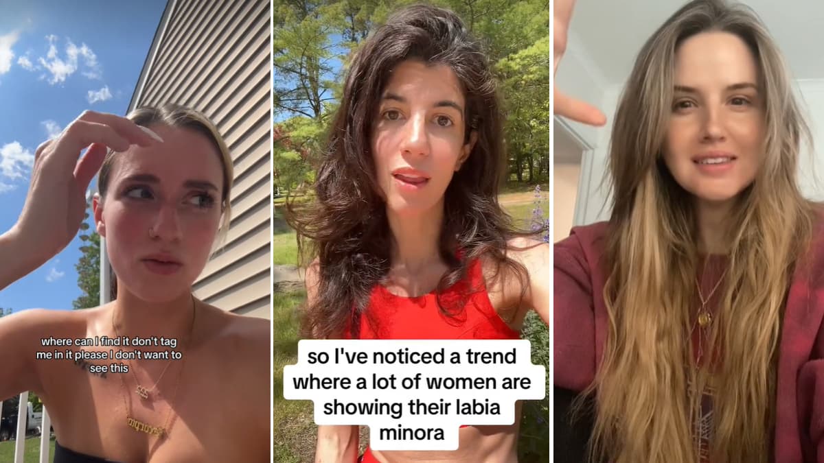 Labia Minora Trend meme template - Labia Minora Trend