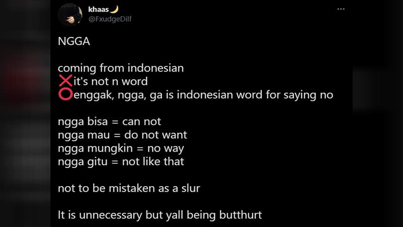 Language Miscomprehension of "Ngga" meme template - Language Miscomprehension