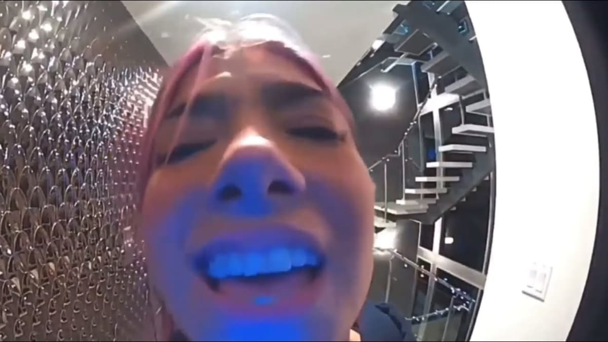 Let Me In Please (Charli D'Amelio) meme template - Let Me In Please