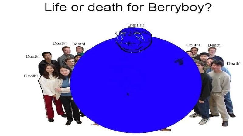Life or Death for Berryboy meme template - Life or Death for Berryboy