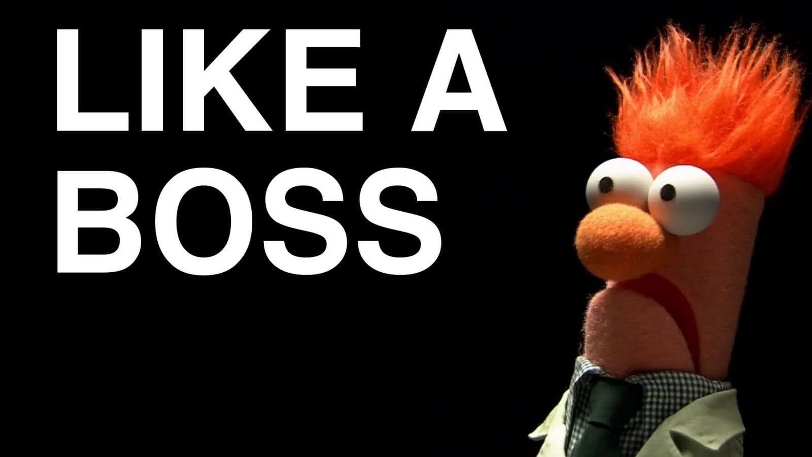 Like A Boss meme template - Like A Boss