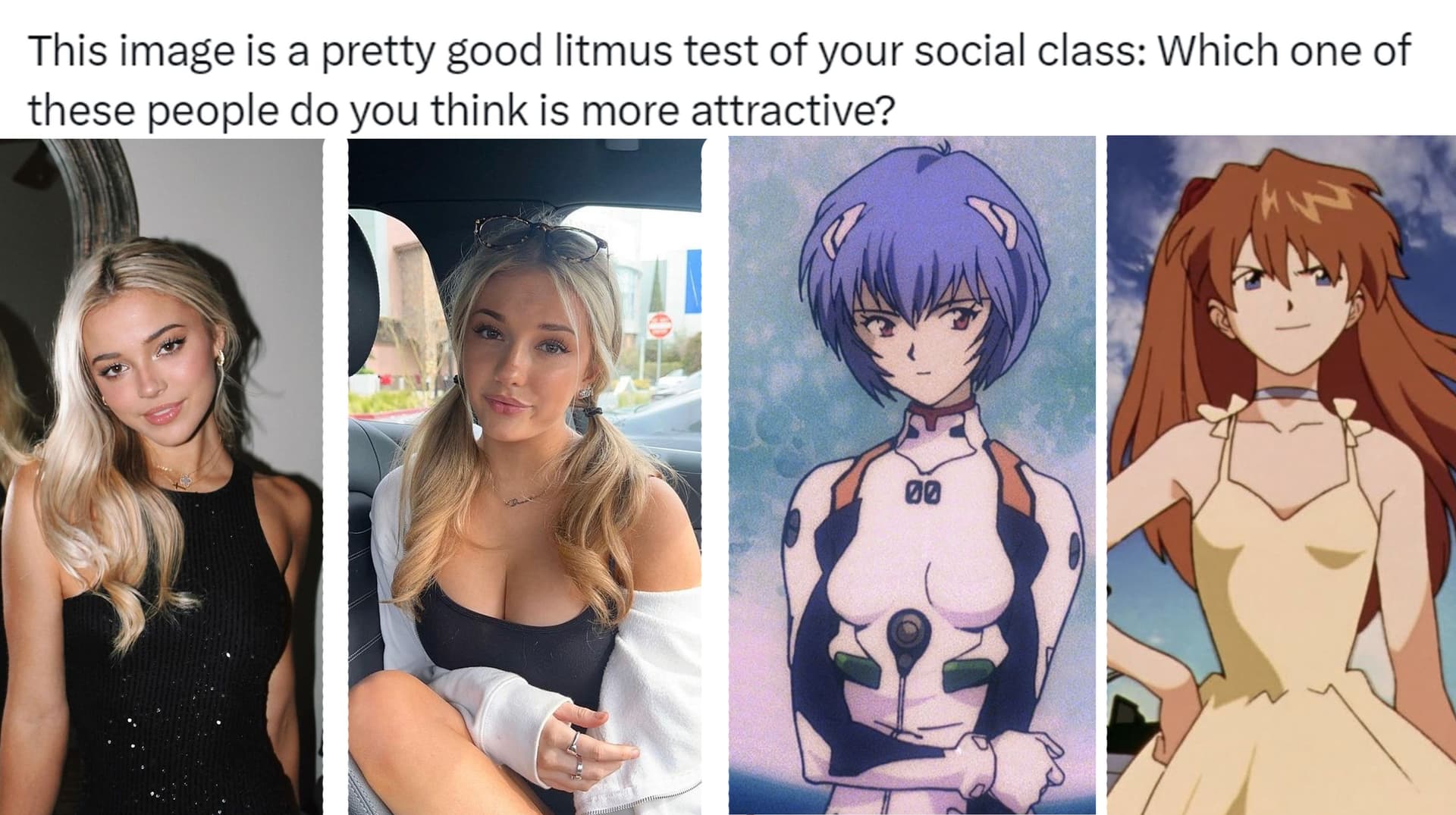 Litmus Test For Social Class / Which Is More Attractive? meme template - Litmus Test For Social Class