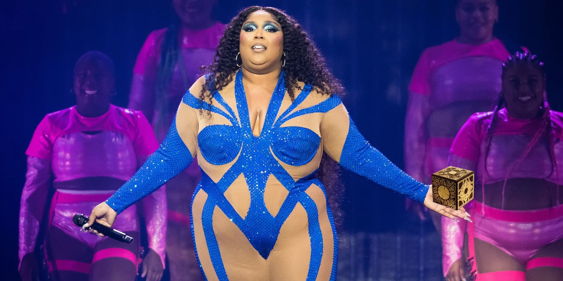 Lizzo Has Taken X / Lizzo Has Acquired X meme template - Lizzo Has Taken X