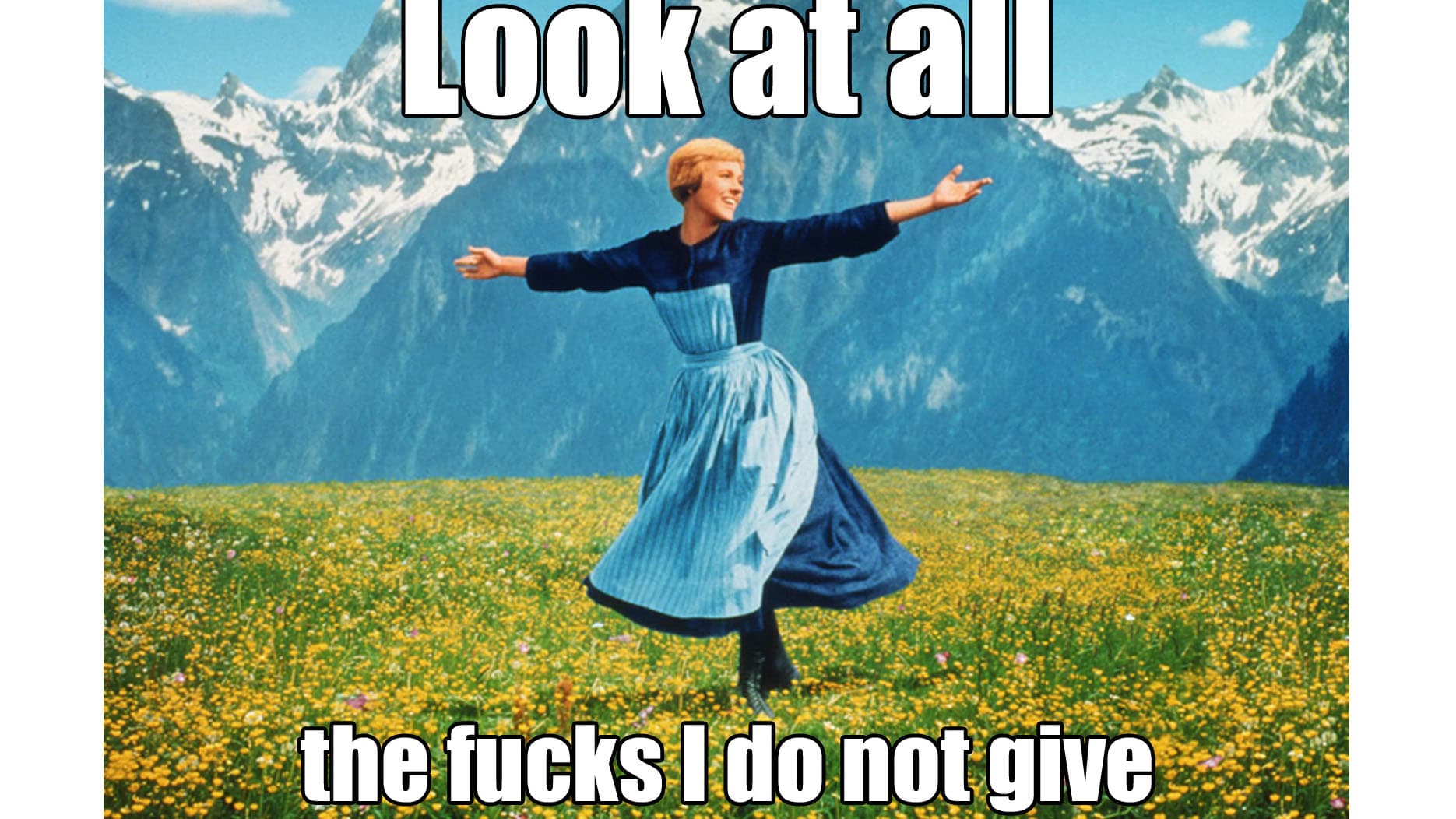 Look At All The Fucks I Give meme template - Look At All The Fucks I Give