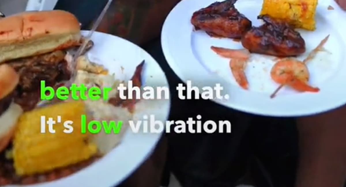 Low Vibration Plate meme template - Low Vibration Plate