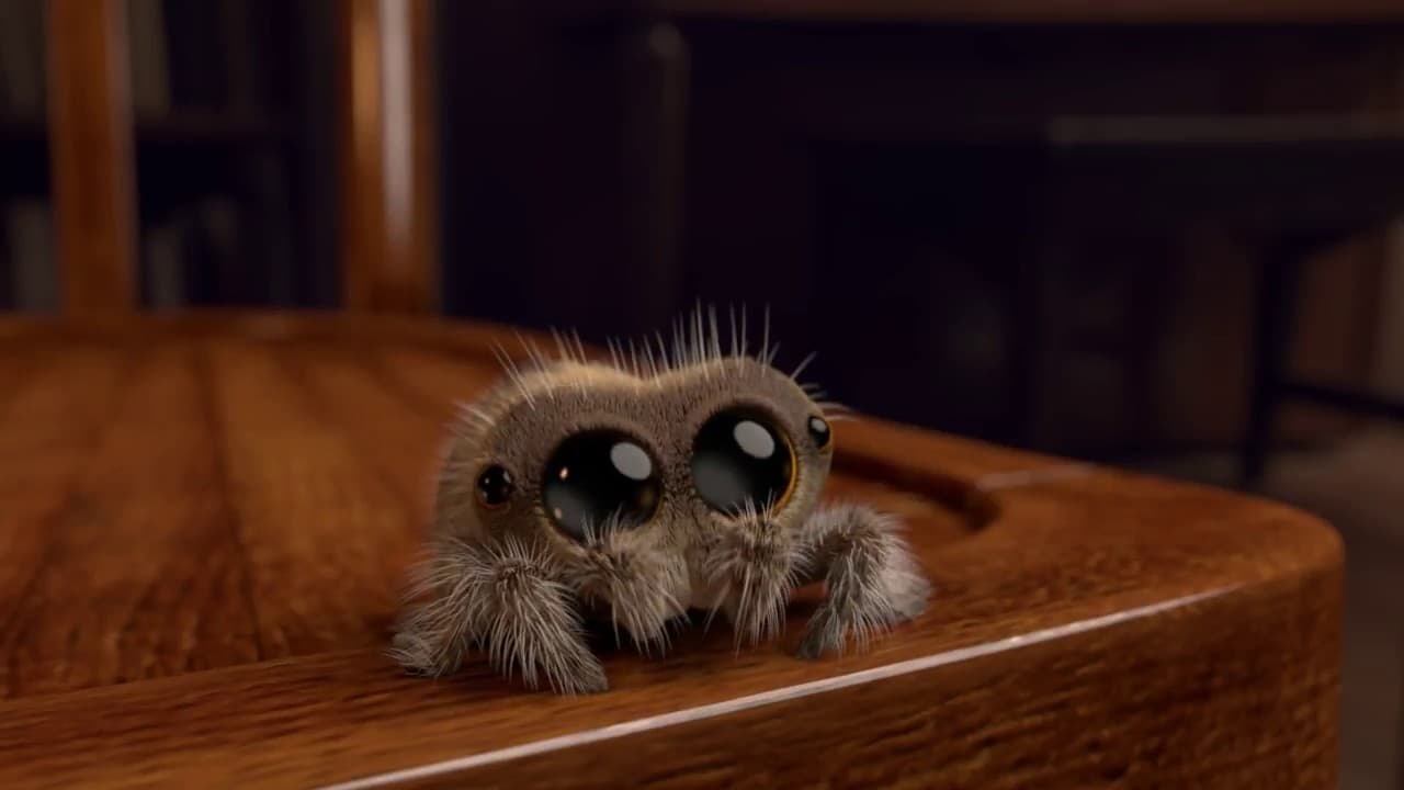 Lucas the Spider meme template - Lucas the Spider