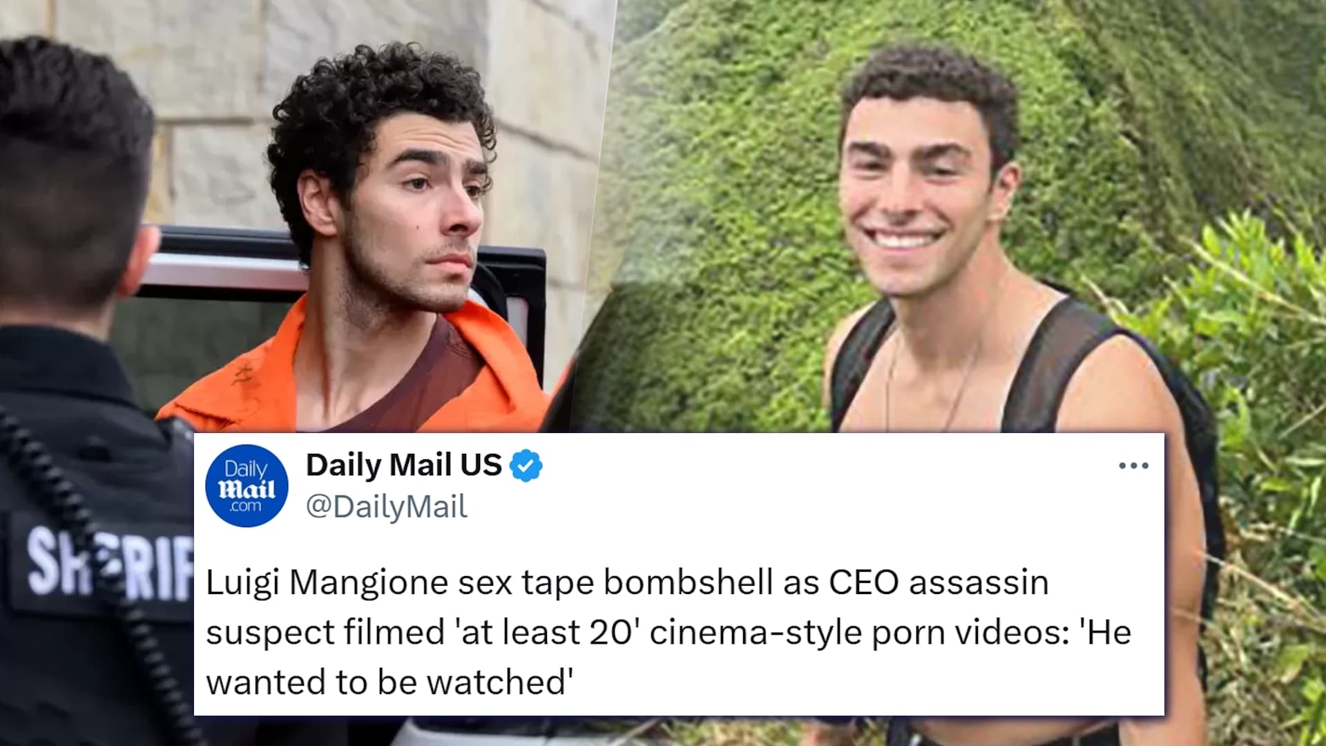 Luigi Mangione Sex Tapes Rumor meme template - Luigi Mangione Template