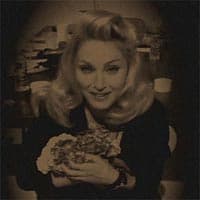 Madonna Loathes Hydrangea meme template - Madonna Hydrangea