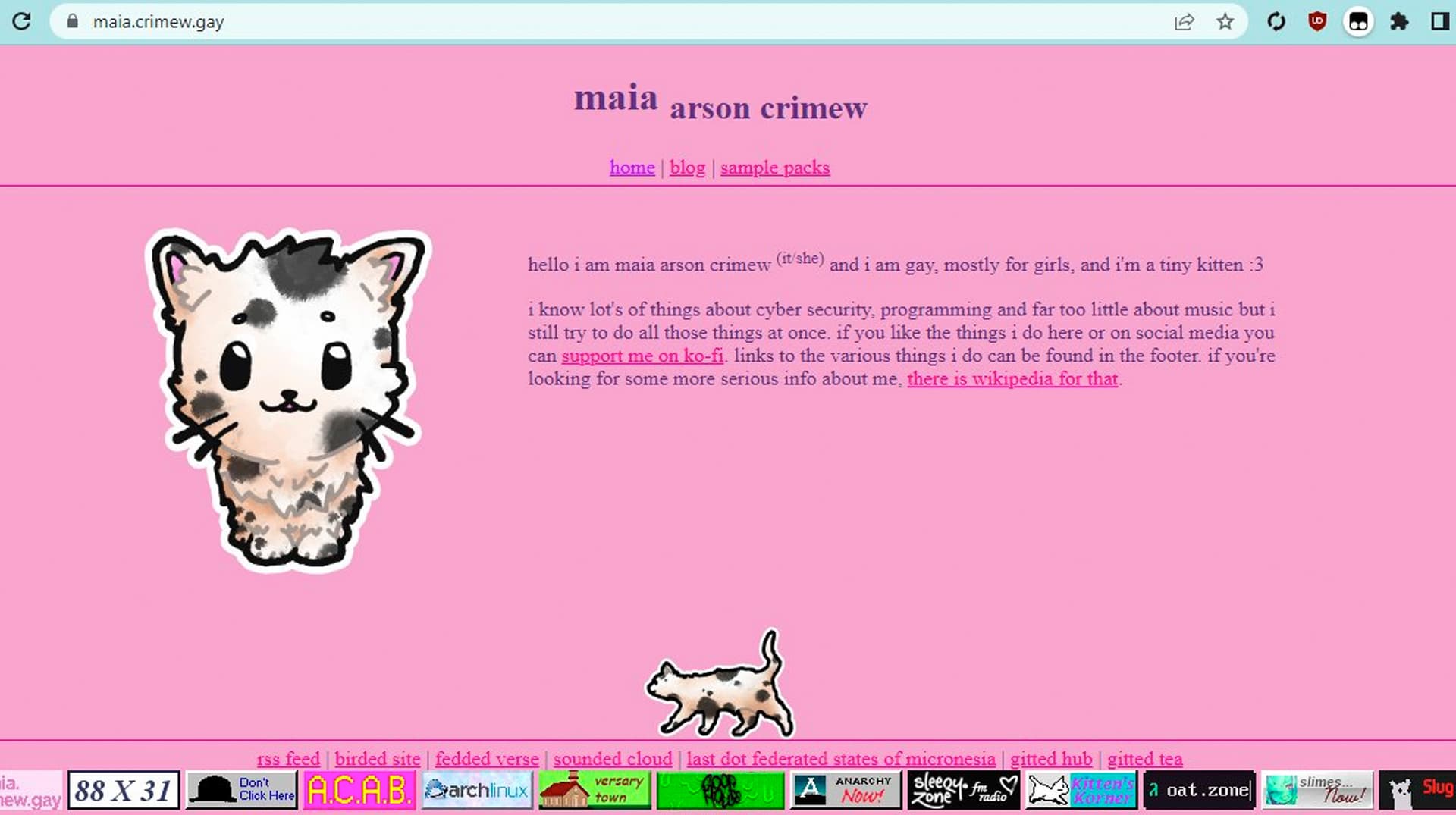 Maia Arson Crimew's "No-Fly List" Leak meme template - Maia Arson Crimew