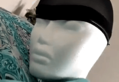 Mannequin Head Turn meme template - Mannequin Head Turn
