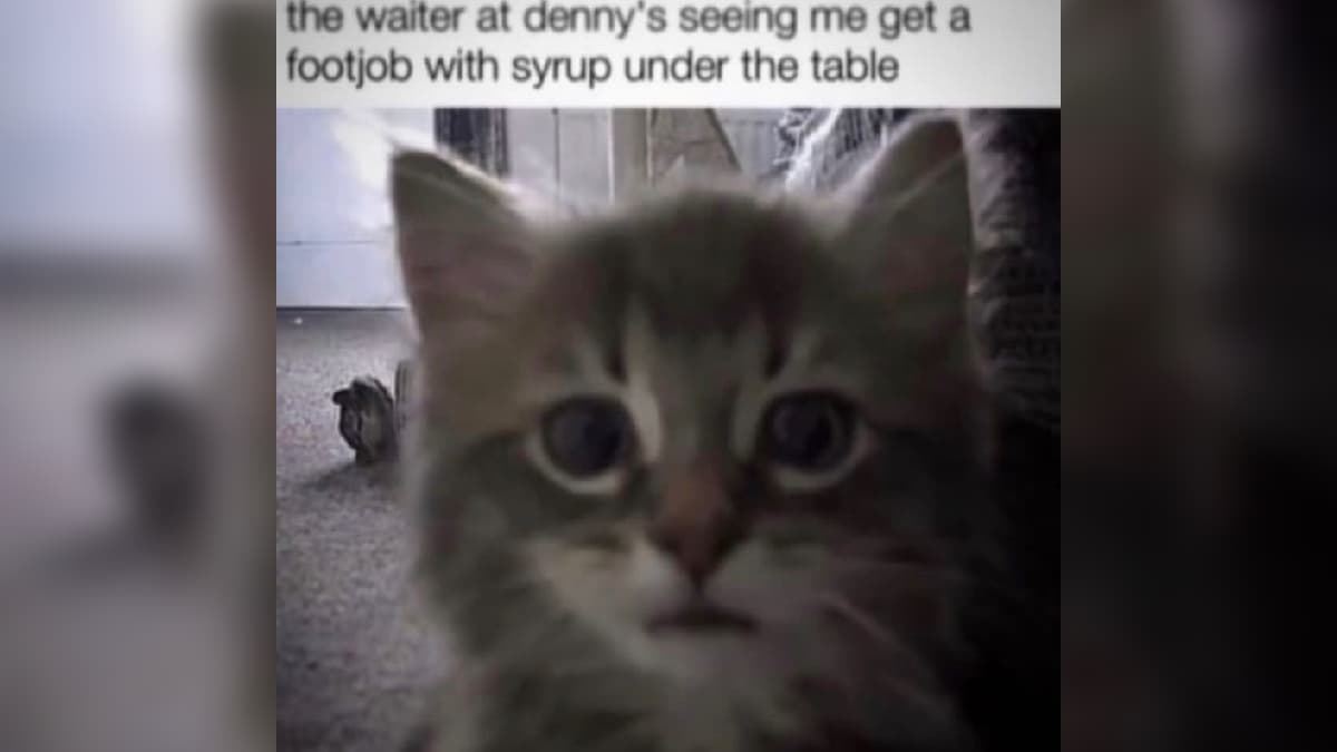 Maple Syrup Footjob meme template - Maple Syrup Footjob