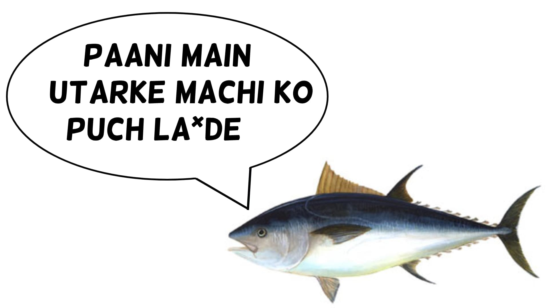 Marathi Name of Tuna Fish meme template - Marathi Name of Tuna Fish