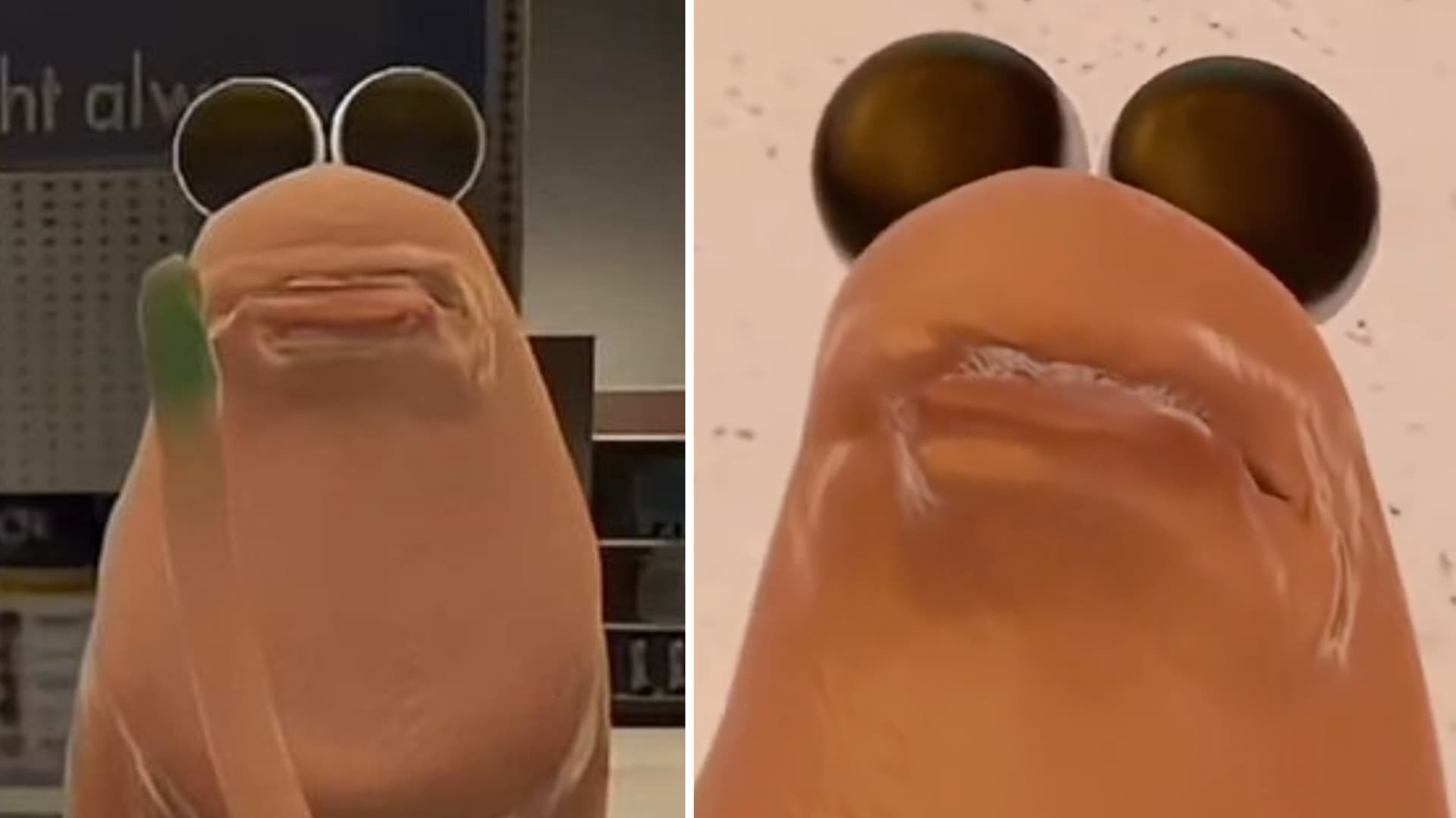 Marcus the Worm meme template - Marcus the Worm