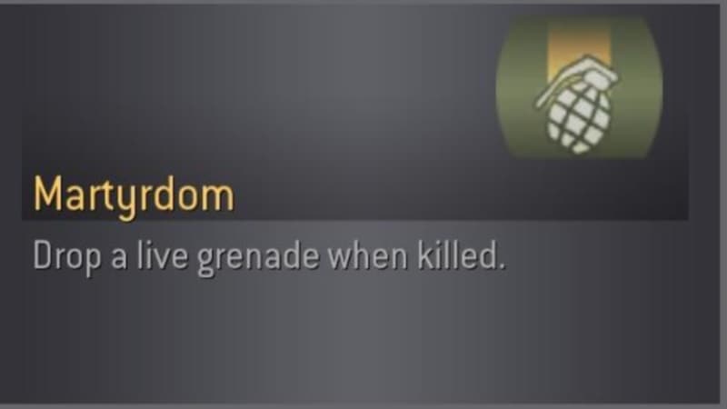 Martyrdom (Drop a Live Grenade When Killed) meme template - Martyrdom