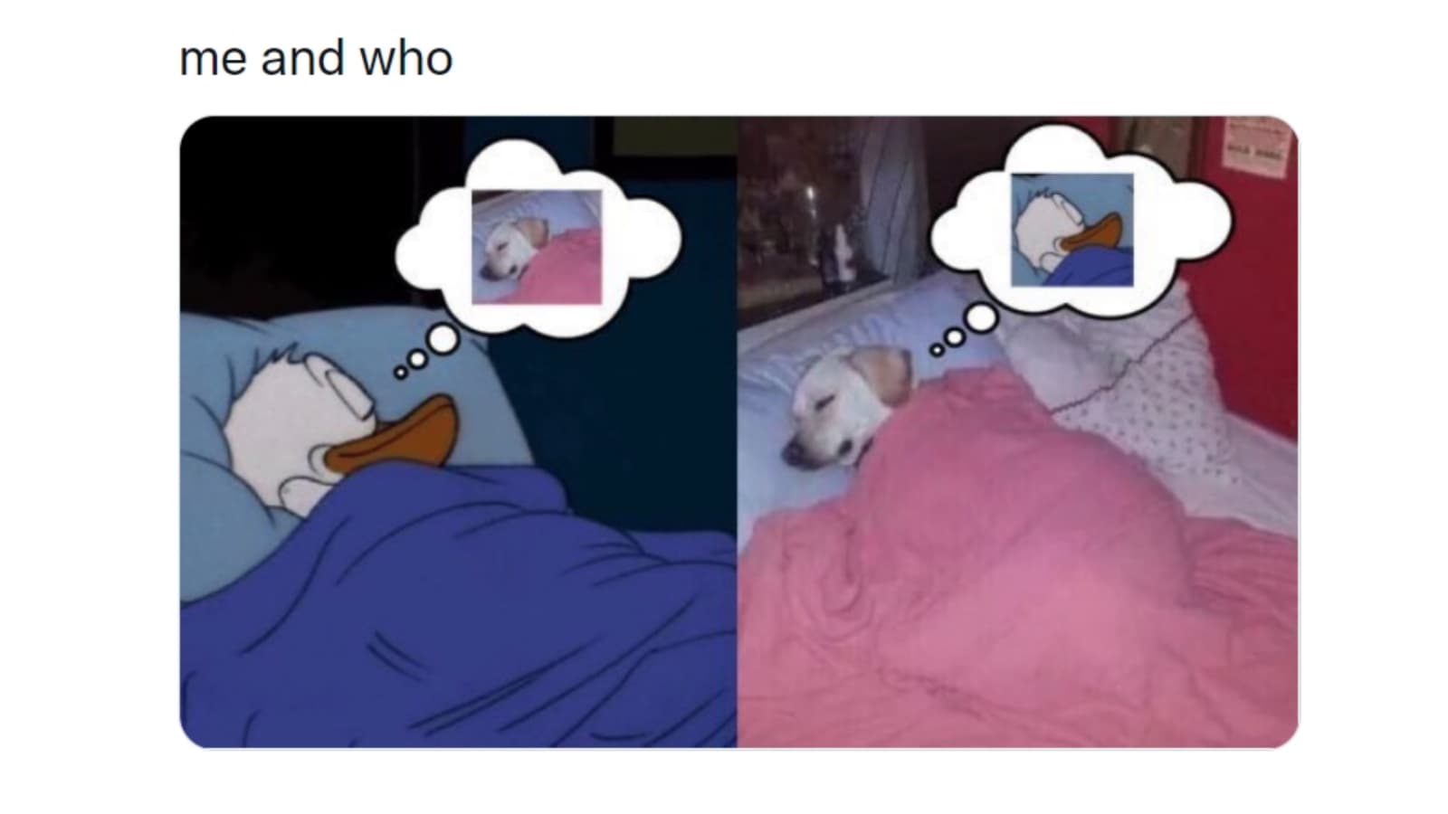 Me and Who? meme template - Me and Who