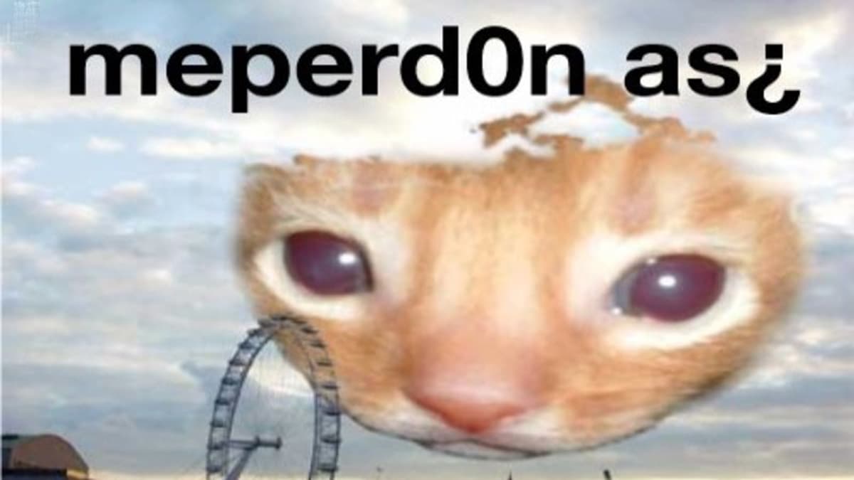 Me Perdonas? meme template - Me Perdonas