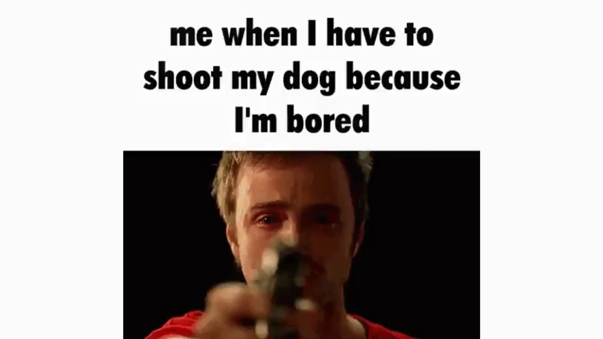 Me When I Have to Shoot My Dog Because I'm Bored meme template - Me When I Have to Shoot My Dog