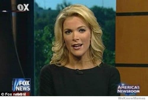 Megyn Kelly Essentially meme template - Megyn Kelly Essentially