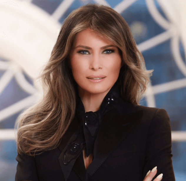 Melania Trump's First Lady Portrait meme template - Melania Trump Portrait