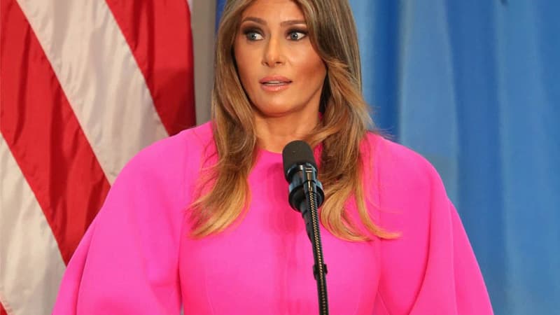 Melania Trump's U.N. Speech Dress meme template - Melania Trump Pink Dress