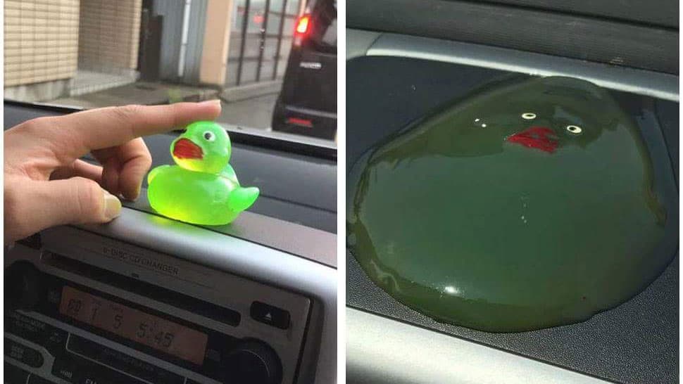 Melted Duck on a Dashboard meme template - Melted Duck