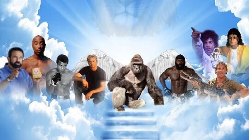 Meme Heaven meme template - Meme Heaven