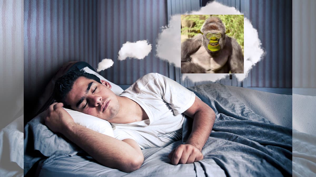 Memes From Dreams / This Meme Came To Me In A Dream meme template - Memes From Dreams