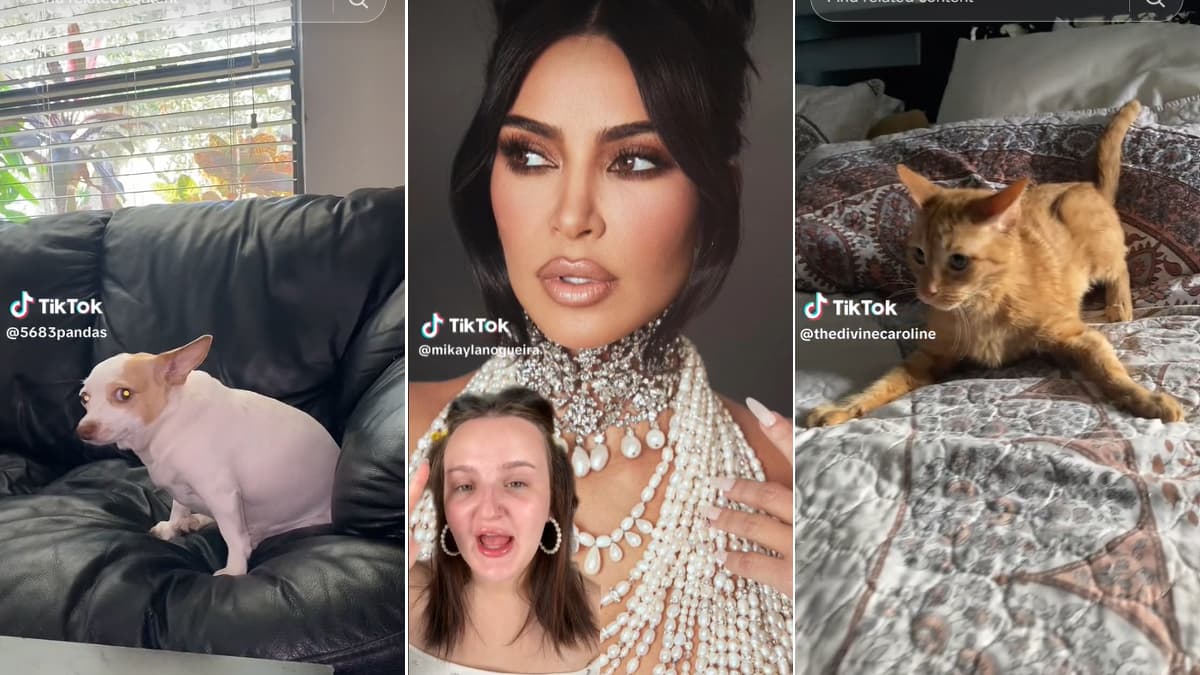 Mikayla Nogueira Saying 'Kim Kardashian' meme template - Mikayla Nogueira