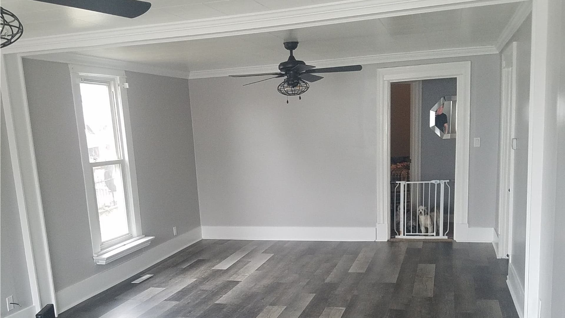 Millennial Gray / Corporate Gray meme template - Millennial Gray